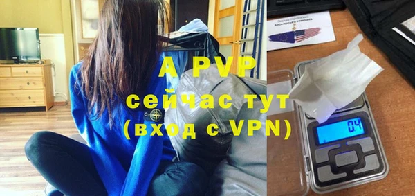 ГАЛЛЮЦИНОГЕННЫЕ ГРИБЫ Майский